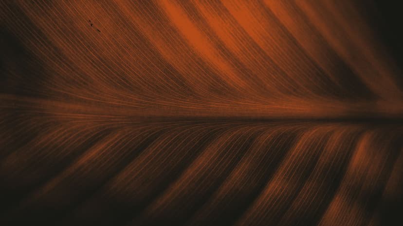 Imagen de portada de Nuestro estudio